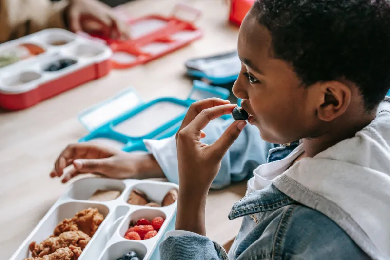 The 3 PM Hunger Crisis: What Your Child's Body Is Screaming After School